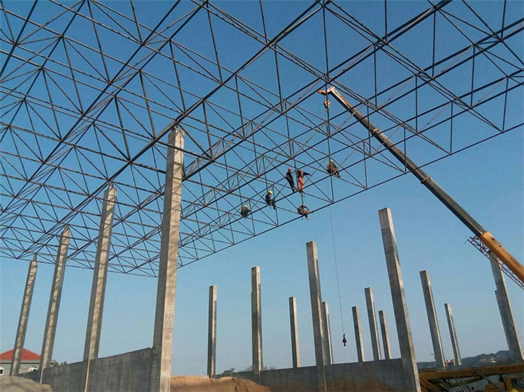 双鸭山加气站钢结构网架案例10